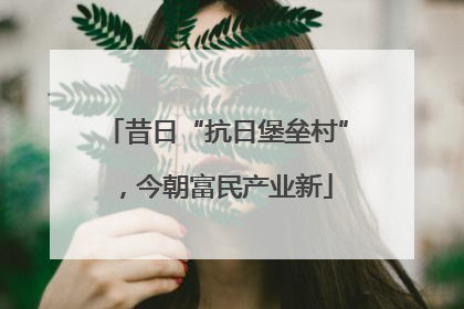 昔日“抗日堡垒村”，今朝富民产业新