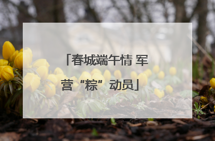 春城端午情 军营“粽”动员