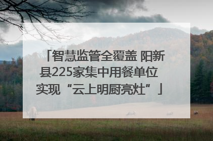 智慧监管全覆盖 阳新县225家集中用餐单位实现“云上明厨亮灶”