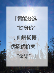 智能分选“提身价”，仙居杨梅优质优价变“金果”