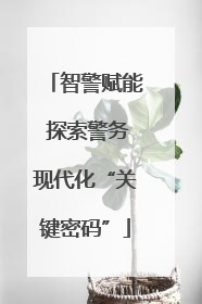 智警赋能 探索警务现代化“关键密码”