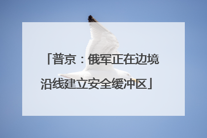 普京：俄军正在边境沿线建立安全缓冲区