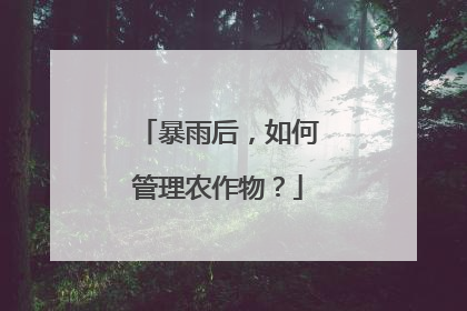 暴雨后，如何管理农作物？
