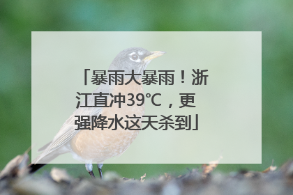 暴雨大暴雨！浙江直冲39℃，更强降水这天杀到