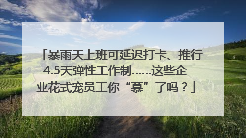 暴雨天上班可延迟打卡、推行4.5天弹性工作制……这些企业花式宠员工你“慕”了吗？