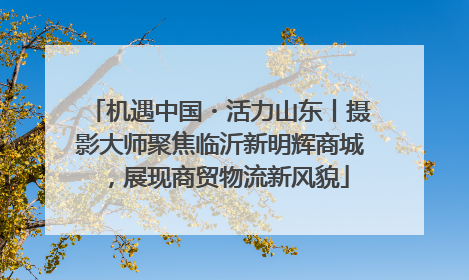 机遇中国・活力山东丨摄影大师聚焦临沂新明辉商城，展现商贸物流新风貌