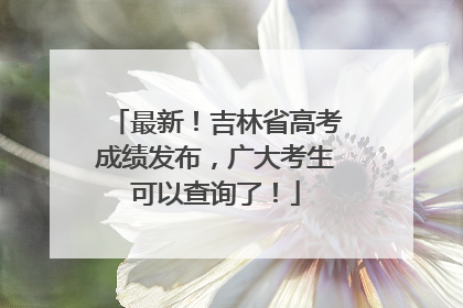 最新！吉林省高考成绩发布，广大考生可以查询了！