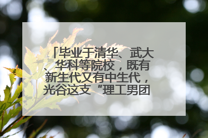毕业于清华、武大、华科等院校，既有新生代又有中生代，光谷这支“理工男团”为何“出道”？