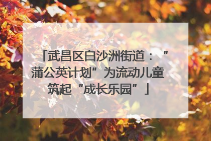 武昌区白沙洲街道：“蒲公英计划”为流动儿童筑起“成长乐园”