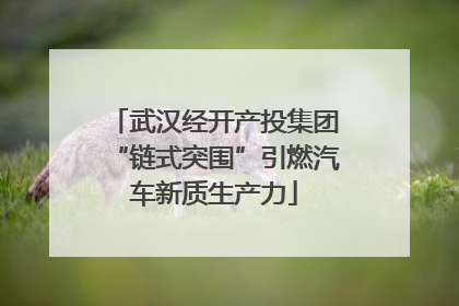 武汉经开产投集团“链式突围”引燃汽车新质生产力
