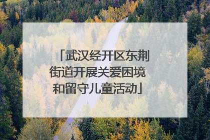 武汉经开区东荆街道开展关爱困境和留守儿童活动