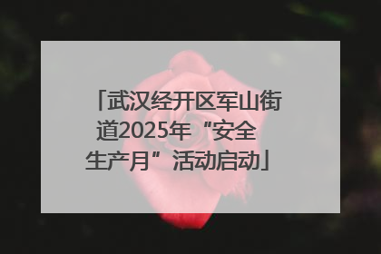 武汉经开区军山街道2025年“安全生产月”活动启动