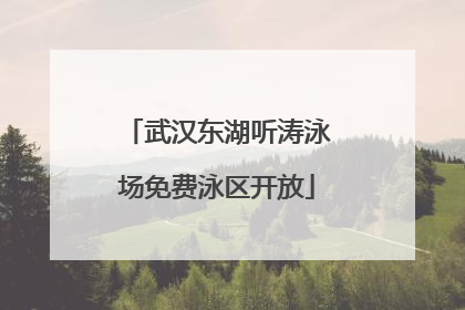 武汉东湖听涛泳场免费泳区开放
