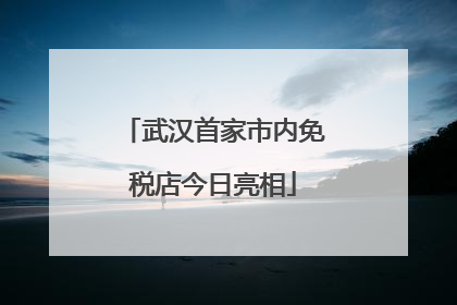 武汉首家市内免税店今日亮相