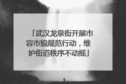 武汉龙泉街开展市容市貌规范行动，维护街道秩序不动摇