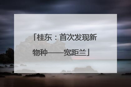 桂东：首次发现新物种——宽距兰