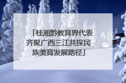桂湘黔教育界代表齐聚广西三江共探民族美育发展路径