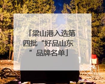 梁山港入选第四批“好品山东”品牌名单