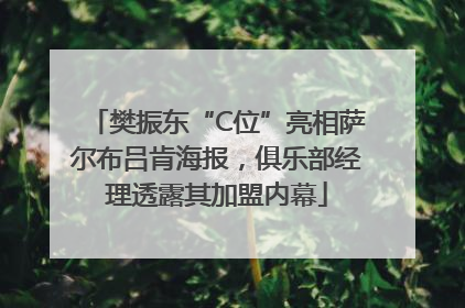 樊振东“C位”亮相萨尔布吕肯海报，俱乐部经理透露其加盟内幕