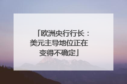 欧洲央行行长：美元主导地位正在变得不确定