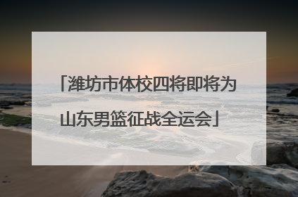 潍坊市体校四将即将为山东男篮征战全运会