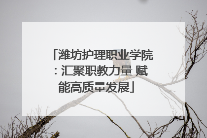潍坊护理职业学院：汇聚职教力量 赋能高质量发展