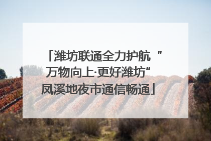 潍坊联通全力护航“万物向上·更好潍坊”凤溪地夜市通信畅通