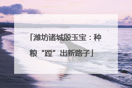 潍坊诸城殷玉宝：种粮“蹚”出新路子