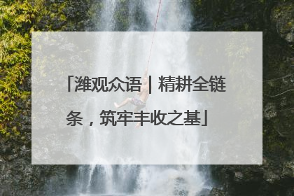 潍观众语｜精耕全链条，筑牢丰收之基