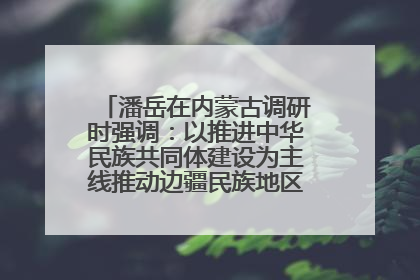 潘岳在内蒙古调研时强调：以推进中华民族共同体建设为主线推动边疆民族地区高质量发展