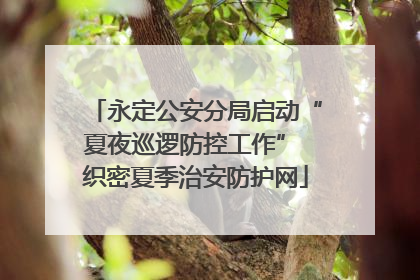 永定公安分局启动“夏夜巡逻防控工作” 织密夏季治安防护网