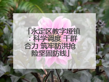 永定区教字垭镇：科学调度 干群合力 筑牢防洪抢险坚固防线