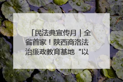 民法典宣传月｜全省首家！陕西商洛法治廉政教育基地“以案说纪”润人心