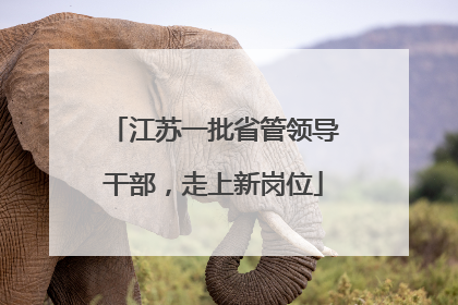 江苏一批省管领导干部，走上新岗位