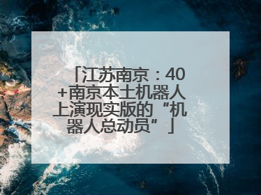 江苏南京：40+南京本土机器人上演现实版的“机器人总动员”