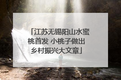 江苏无锡阳山水蜜桃首发 小桃子做出乡村振兴大文章