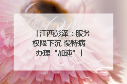 江西彭泽：服务权限下沉 慢特病办理“加速”