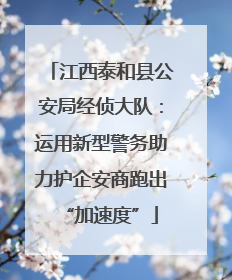 江西泰和县公安局经侦大队：运用新型警务助力护企安商跑出“加速度”