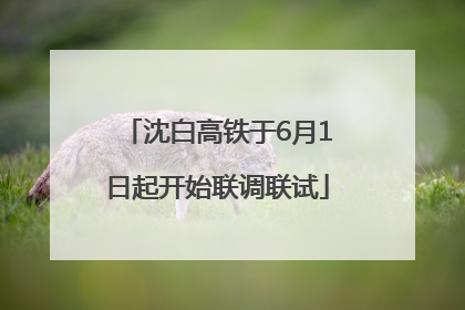 沈白高铁于6月1日起开始联调联试