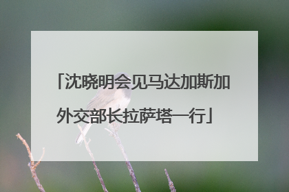 沈晓明会见马达加斯加外交部长拉萨塔一行