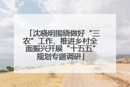 沈晓明围绕做好“三农”工作、推进乡村全面振兴开展“十五五”规划专题调研