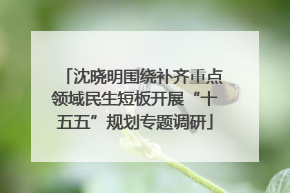 沈晓明围绕补齐重点领域民生短板开展“十五五”规划专题调研