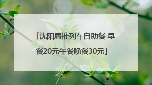 沈阳局推列车自助餐 早餐20元午餐晚餐30元