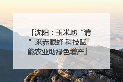 沈阳：玉米地“请”来赤眼蜂 科技赋能农业助绿色增产