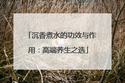 沉香煮水的功效与作用：高端养生之选