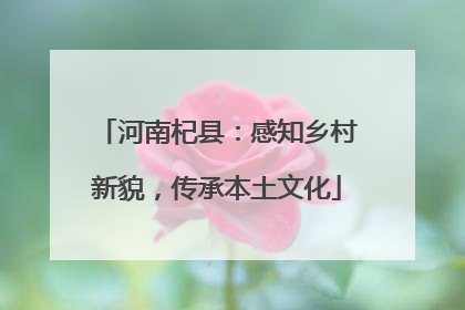 河南杞县：感知乡村新貌，传承本土文化