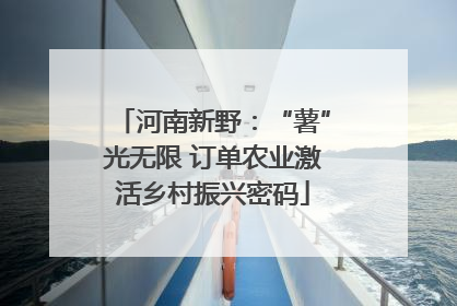 河南新野：“薯”光无限 订单农业激活乡村振兴密码