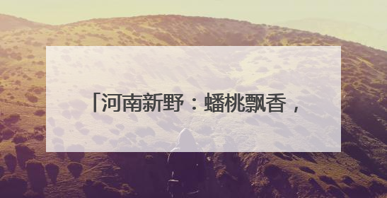 河南新野：蟠桃飘香，绘就乡村振兴新画卷