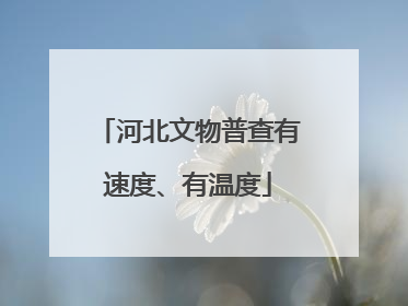 河北文物普查有速度、有温度