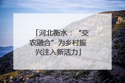 河北衡水：“交农融合”为乡村振兴注入新活力